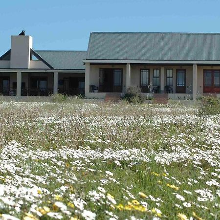 Indulgenza Art Studio Langebaan Exterior photo