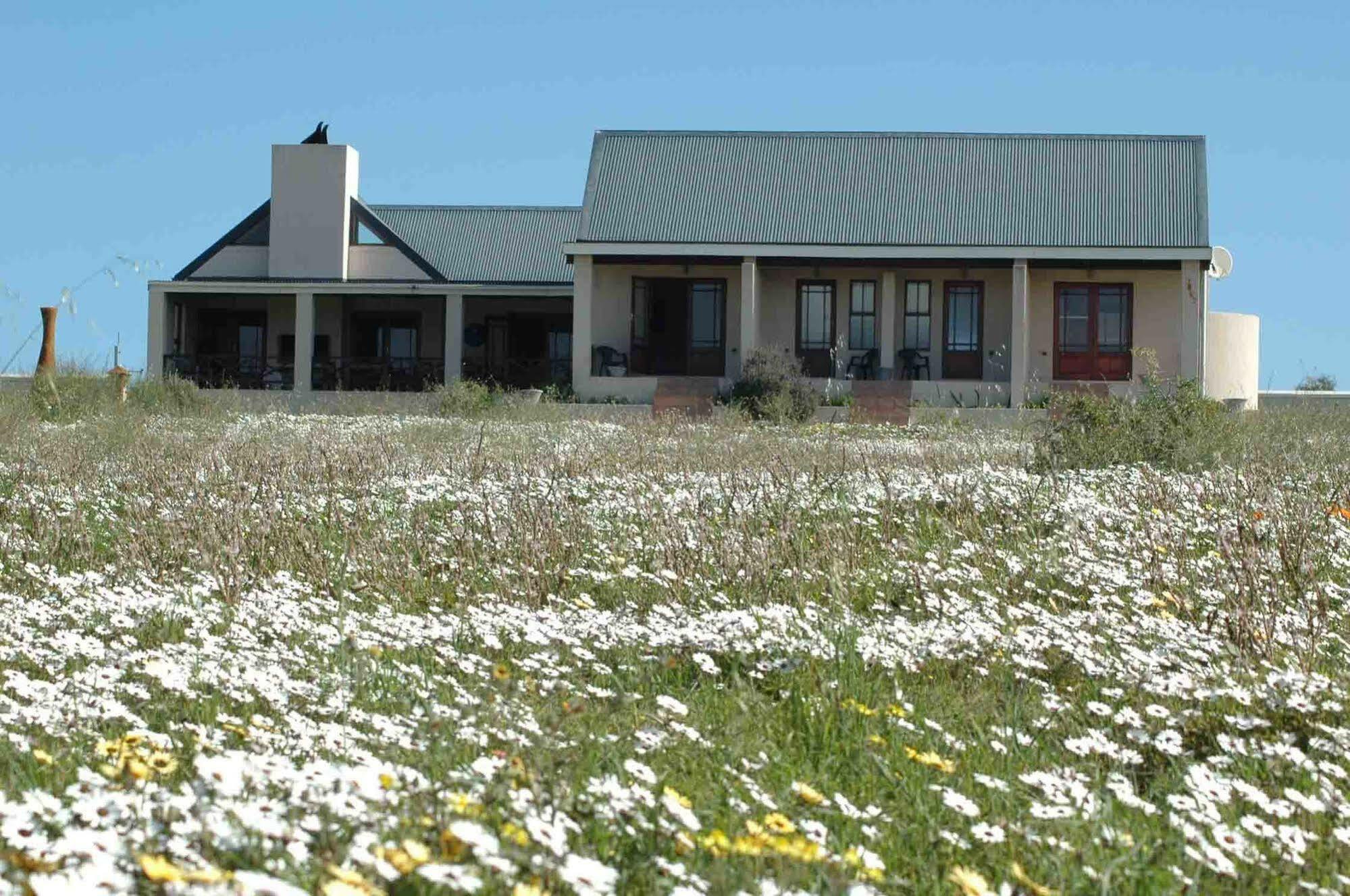 Indulgenza Art Studio Langebaan Exterior photo